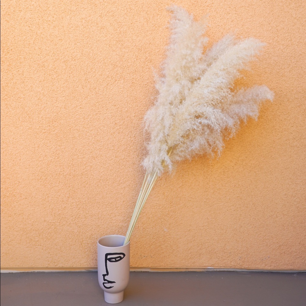 Luxurious Pampas Grass - 3 stems